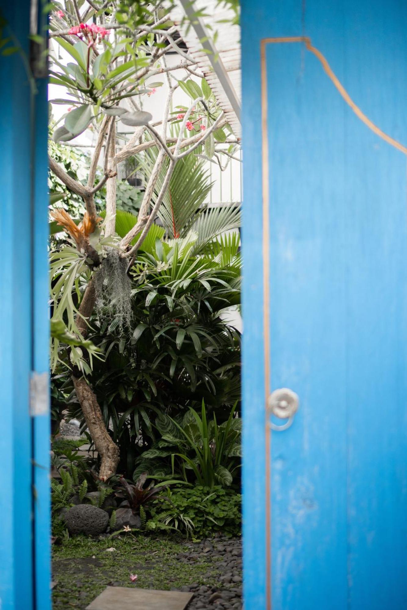 Betah Homestay Banyuwangi Banyuwangi  Exterior photo